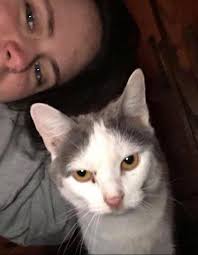 Lost baby near Rosemont and WHS