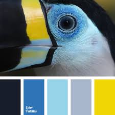 Blue black and white color scheme. Blue And Black Color Palette Ideas