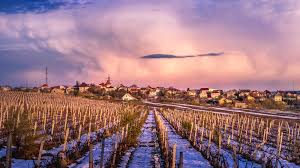 Deputații au respins astăzi componența executivului condus de. Why Moldova Is A Wine Destination Worth Knowing Now Vogue