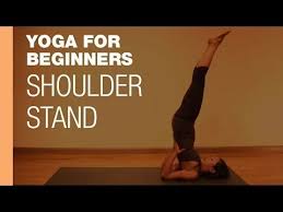 Yoga For Beginners Shoulder Stand Youtube This Position Is Supposed To Be Very Good For Thyroid Function Shoulder Stand Yoga For Beginners Mind Body