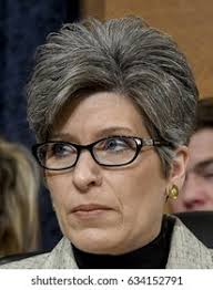 Joni Photos and Images