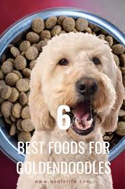We raise goldendoodles by hand with love and careful attention. 6 Best Foods For Goldendoodle Dogs Reviewed Oodle Life