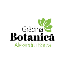 «dacă azi nu votezi, mâine nu contezi! Patru Propuneri De Logo AcelaÈ™i Sfat IncetaÈ›i