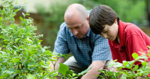 Maybe you would like to learn more about one of these? What Garden Plants Need Lime Behind The Useful Gardening Tool