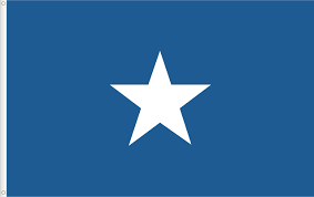 Bonnie Blue American Flag - Premium Satin Quality - Large Size 150 x 90 :  Amazon.co.uk: Garden