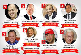 Ligesom hans yngre bror mukhriz , mokhzani er en forretningsmand og havde spillet en aktiv rolle i united malajer national organization (umno), og på et tidspunkt, der tjener som youths wing kasserer. Tan Sri Mokhzani Mahathir Asas Keusahawanan