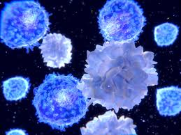 If you feel any changes to your thyroid glands or are experiencing symptoms like tenderness or difficulty swallowing, it is important to talk to your doctor. Thyroid Cancer Symptoms