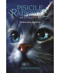 Seria Completă Pisicile Războinice