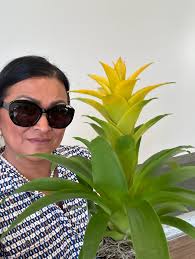 Friends, have a good night. These stunning flowers may help you relax and  get a good night's sleep.