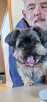 Hi all! I just wanted to introduce myself and share a photo I took