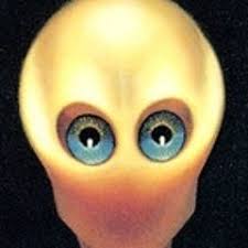 Stream Royal Scott-Dale music