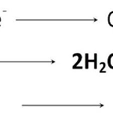 H2o2 (hydrogen perioxide) will decompose into h2o and o2 on its own, albeit slowly. Pdf Decomposition Of Hydrogen Peroxide Kinetics And Review Of Chosen Catalysts