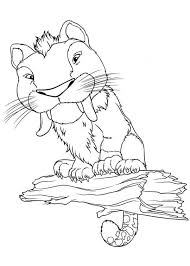 The croods is an animated movie released in 2013, by dreamworks (shrek, madagascar …). The Croods Meet Macawnivore From The Croods Coloring Page Coloring Pages Coloring Pictures Drawings