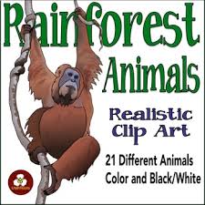 Maybe you would like to learn more about one of these? Rainforest Animals Clipart Worksheets Teaching Resources Tpt