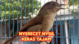 Maybe you would like to learn more about one of these? E00wppj6 9yj3m