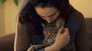 Https Www Newswire Ca News Releases 71 Capital Corp Announces Termination Of Kingsview Transaction 512349521 Html 2013 04 30t23 33 00 04 00 Always 1 0 Https Www Newswire Ca News Releases News Release 512349501 Html 2013 04 30t22 53 00