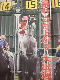 宝塚記念 阪神 芝2200 17 稍 2:12.8 マリアライト 蛯名正義 東 久保田貴 2015/06/28 宝塚記念 阪神 芝2200 16 良 2:14.4 ラブリーデイ 川田将雅 西 池江泰寿 2014/06/29 宝塚記念 阪神 芝2200 12 良 2:13.9 ゴールドシップ 横山典弘 西 å®å¡šè¨˜å¿µ2015 ã„ã„ã‚ã'å›žé¡§ ã‚´ãƒ¼ãƒ«ãƒ‰ã‚·ãƒƒãƒ—ã¯ã‚„ã¯ã‚Šè²·ã£ã¦ã¯ã„ã'ãªã‹ã£ãŸ ã'ã„ã°æ‰‹å¸– æ—§ã‚µã‚¤ãƒˆ æ–°ã‚µã‚¤ãƒˆã¯ãƒšãƒ¼ã‚¸å†…ã®ãƒªãƒ³ã‚¯ã‹ã‚‰