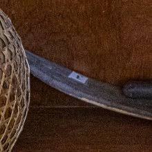 Image result for Cassia burttii