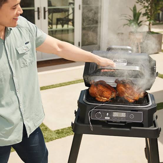 Ninja Woodfire Outdoor Grill & Smoker: At a Glance