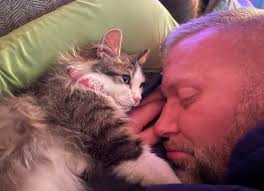 Lost Cat Elsa in 200 block of Pleasant St, Charlotte, MI