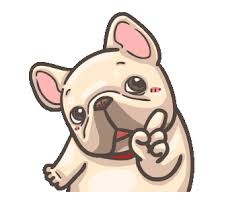 The city bumpers (with later additions) were still shown until may 31, 2007. Kawaii French Bulldog Drawing Novocom Top