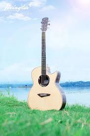 Best acoustic guitars for children. æ—ºè§'çµä»–åº—livingstone Guitar Solid Top Rosewood å–®æ¿æœ¨çµä»– éŸ³æ¨‚æ¨‚å™¨ é…ä»¶ éŸ³æ¨‚æ¨‚å™¨ Carousell