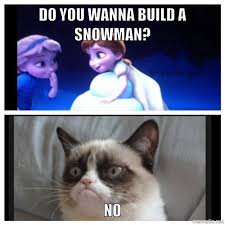 Grumpy Cat Funny Grumpy Cat Memes Grumpy Cat Meme Grumpy Cat Humor