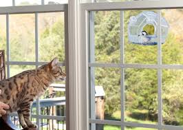 Head pressing should not be confused with normal behaviors like a dog or cat affectionately head butting a person. 10 Strange Cat Behaviors Explained