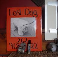 lost dog signs from petfbi.org