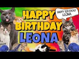 27 happy birthday leona ranked in order of popularity and relevancy. Happy Birthday Leona Crazy Cats Say Happy Birthday Leona Very Funny Youtube