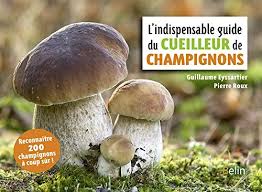 Tous les bolets bleuissants ne sont pas toxiques, certains s'avèrent même de très bon comestibles comme le fameux bolet à pied rouge, toxique cru mais excellent une fois bien cuit. Cepe Bienfaits De Ce Champignon Celebre Au Gout Savoureux