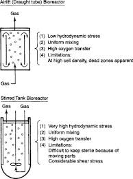 Plant Cell Culture An Overview Sciencedirect Topics