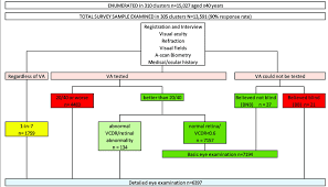 Examination Flow Chart For Study Participants In The Nigeria