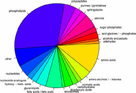 Pie Chart Representing Coverage Of Metabolite Classes Using