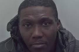 Man accidentally orders a 20ft inflatable Santa and it's taller than his  house