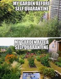 Pin By Maia Reknez On 2020 Funny Stupid Funny Memes Stupid Memes