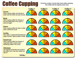 8 step coffee cupping guide