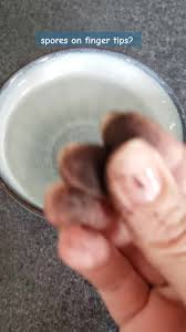 Spreading Mushroom Spores: A Fun and Unique Way to Share Nature's Beauty