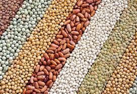 Image result for Grains