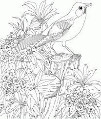 Hard Coloring Pages For Adults Best Coloring Pages For Kids Animal Coloring Pages Flower Coloring Pages Bird Coloring Pages
