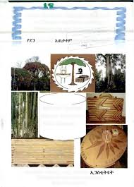 Image result for Pouteria adolfi-friederici