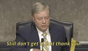 This image has been going around online, lets see all your submissions! Lindsey Graham Gif By Giphy News
