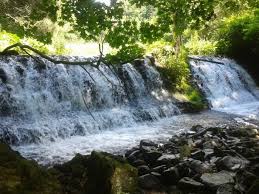 A Secret Tropical Beach In Pennsylvania The Water At Beltzville State Park Is A Mesmerizing Blue State Parks Water Scenic