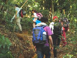 Pulau redang or redang island is one of the largest islands of the east coast in peninsular malaysia. Malaysia Truly Asia The Official Tourism Website Of Malaysia