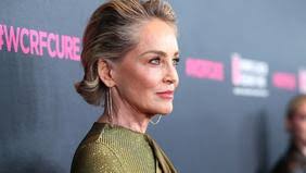 Sharon Stone, Beyoncé, Taylor Swift... Les stars se mobilisent pour venir  en aide aux victimes des incendies à Los Angeles