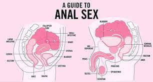 Parental guide anal sex