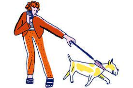 To keep our dogs safe and under control the behavior is then rewarded once the dog reaches their goal. Opinion Things People Say To Their Dogs The New York Times