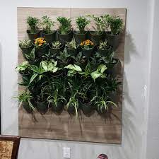 These ferns in front of a thin wooden slat wall this entire apartment living room has been converted into an indoor garden thanks to its huge window. Made An Indoor Wall Garden Indoorgarden