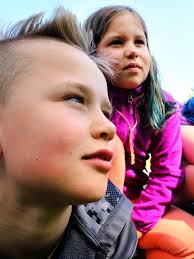 White Pine Program readies for its next phase