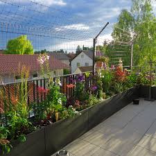 Freigang im garten ist für die katze aufregend, aber nicht ungefährlich. W Hoelbing Katzengarten Katzenzaune Katzennetze Gartengestaltung Dienstleistungen W Hoelbing